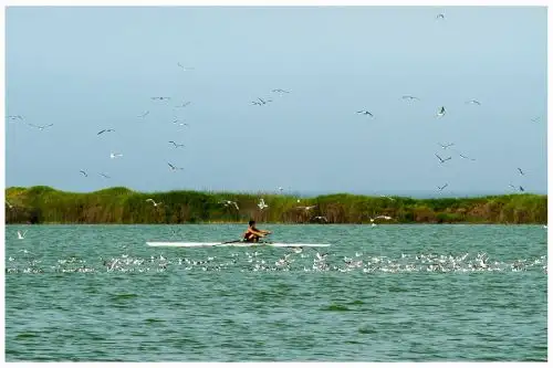 Esta es la Albufera de Medio Mundo, en la provincia limeña de Huaura, donde se desarrollará la competencia de remo de Lima 2019.