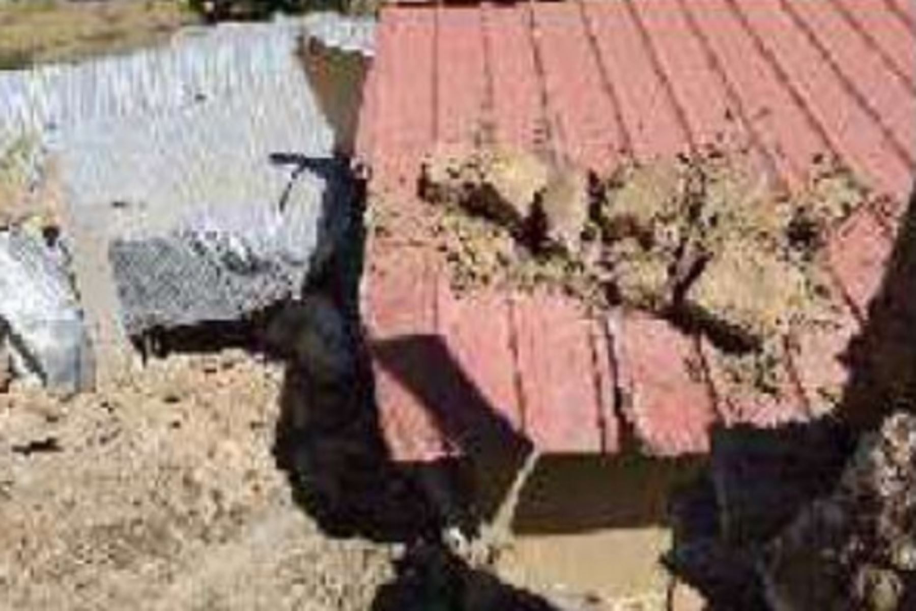 Un deslizamiento de tierra causó daños en la institución educativa N° 86748 “Jorge Basadre Grohmann” en la localidad de Punap, distrito de Quillo, provincia de Yungay, informó el Instituto Nacional de Defensa Civil (Indeci).