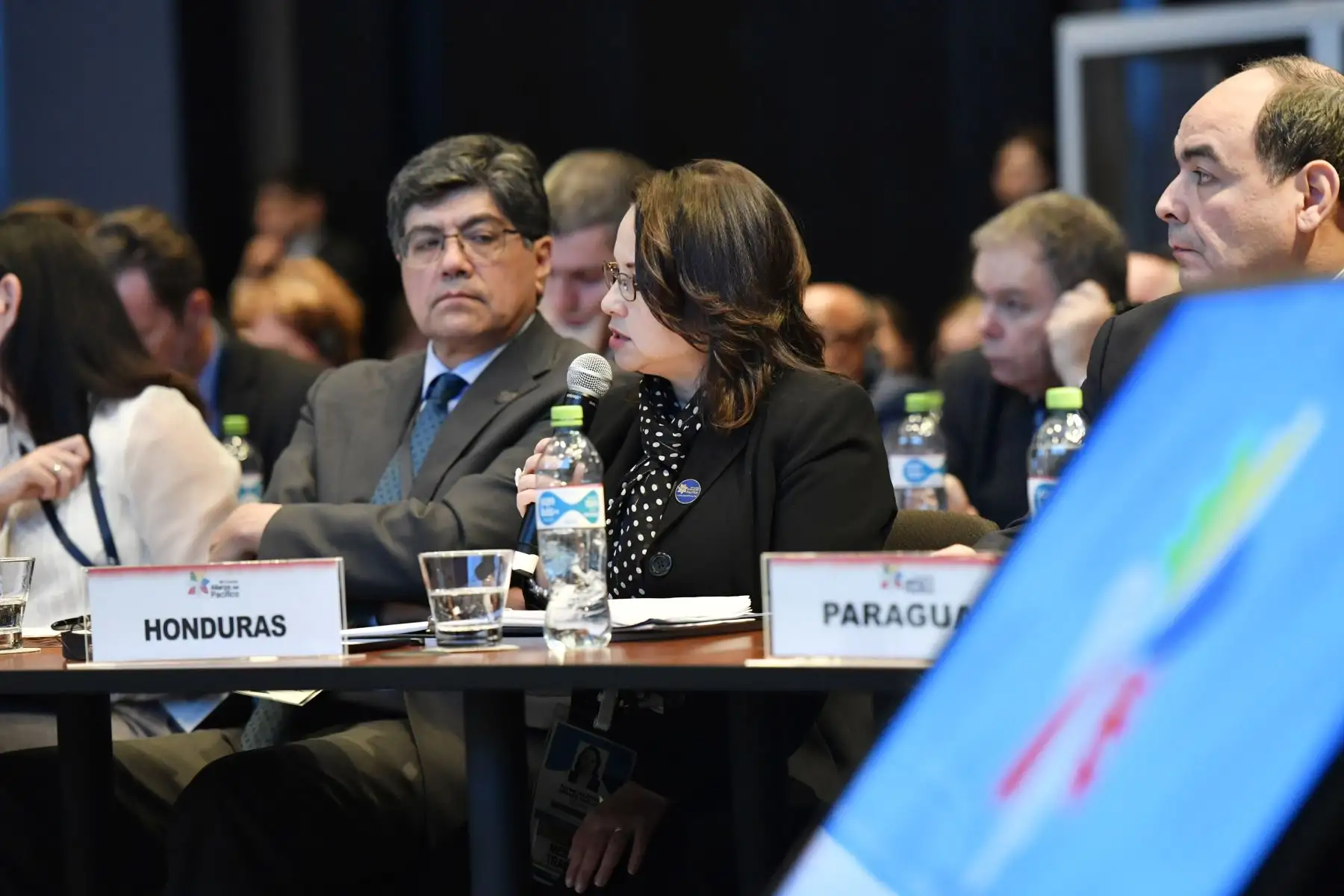 Mesa de Trabajo de Ministros de Relaciones Exteriores de la Alianza del Pacífico con Estados Observadores.Foto: ANDINA/MRE