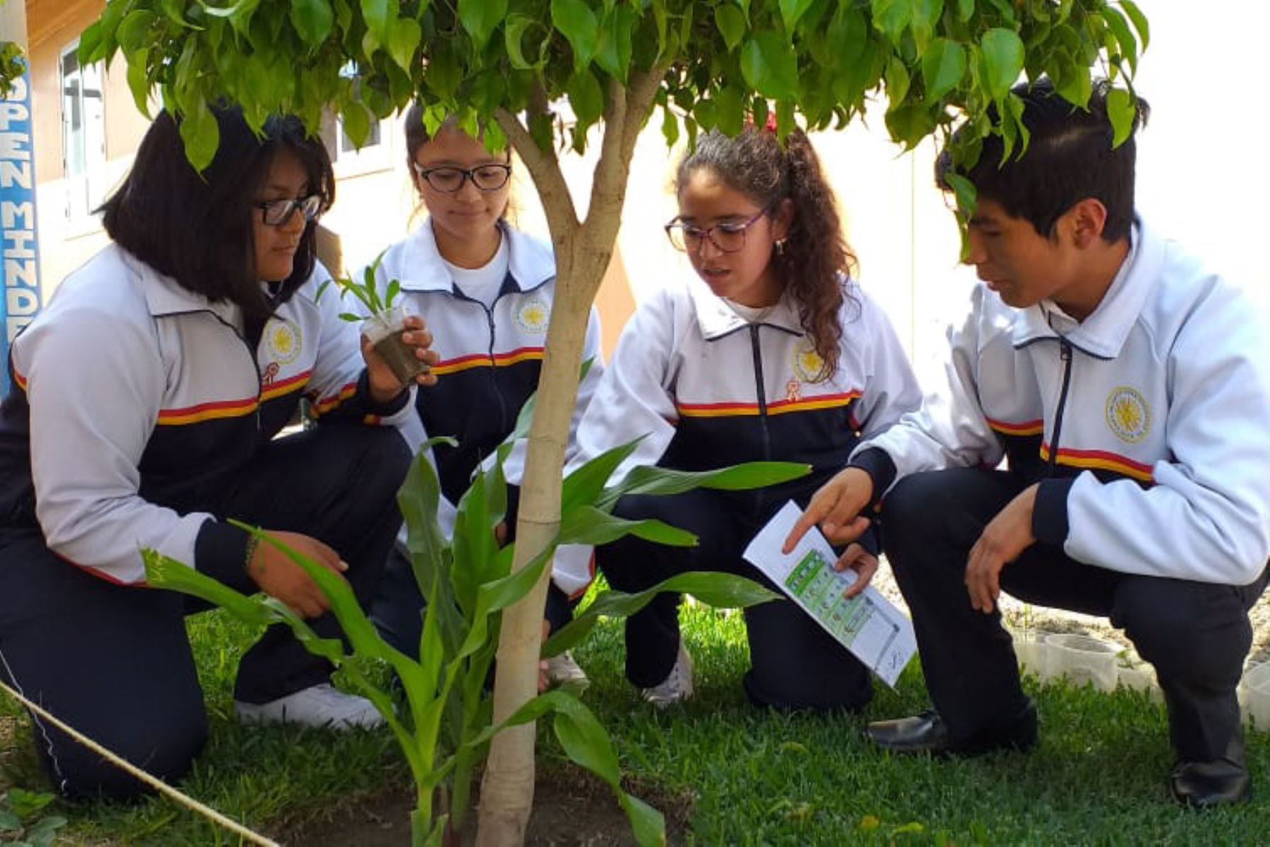 Estudiantes del COAR Lambayeque diseñan proyecto de riego agrícola que funciona con energía solar. ANDINA/Difusión