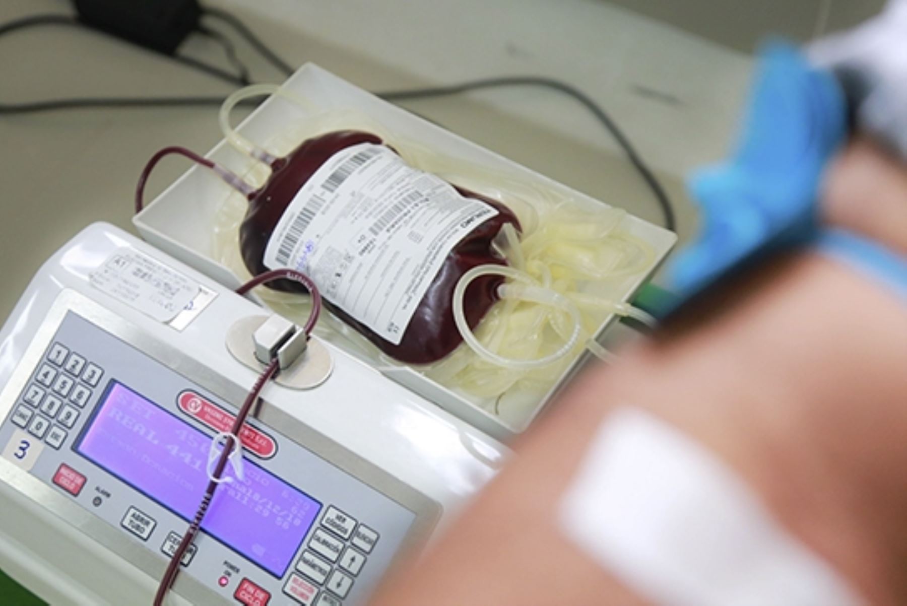 Ley promoverá cultura de donación voluntaria de sangre entre escolares. Foto: ANDINA/archivo.