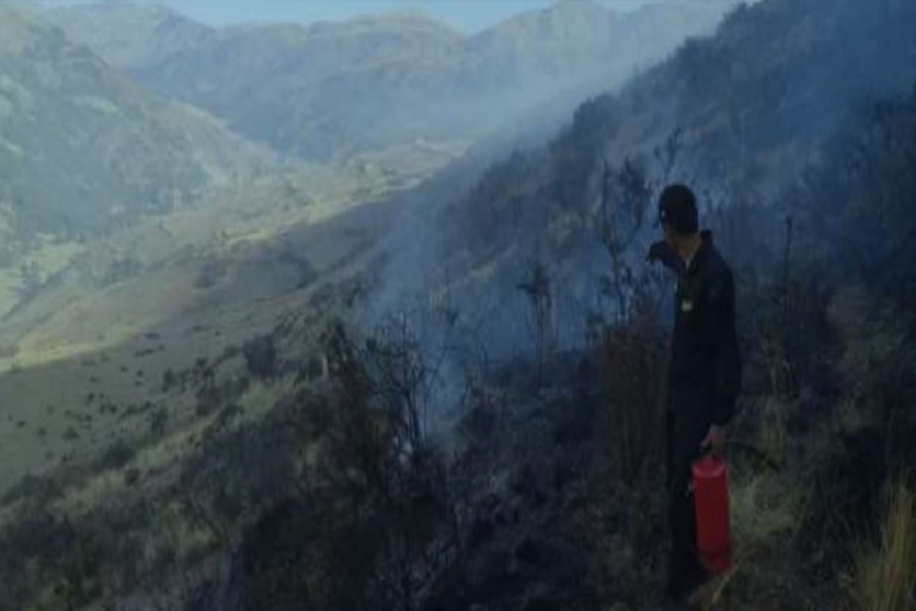 Al menos 10 hectáreas de cobertura natural fueron destruidas por el incendio forestal que se originó la tarde de ayer en el Cerro Cangalli, comunidad campesina de Cangalli, en el distrito de Checacupe, provincia de Canchis, región Cusco, informó eI Instituto Nacional de Defensa Civil (Indeci).