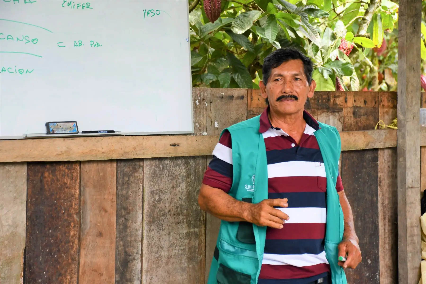 Conoce a Edil Sandoval, el productor de cacao más competitivo de San Martín. ANDINA/Difusión