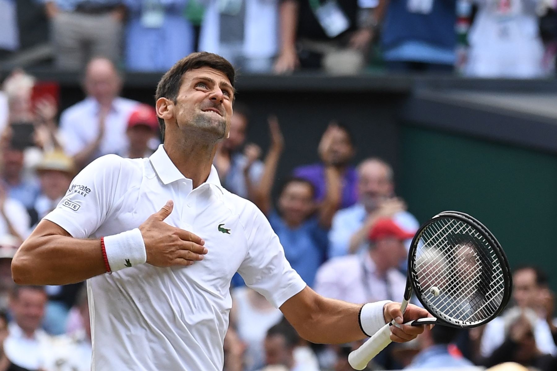 El novak Djokovic de Serbia celebra la derrota del suizo Roger Federer en la final de individuales masculinas el día trece del Campeonato de Wimbledon 2019.
Foto. AFP