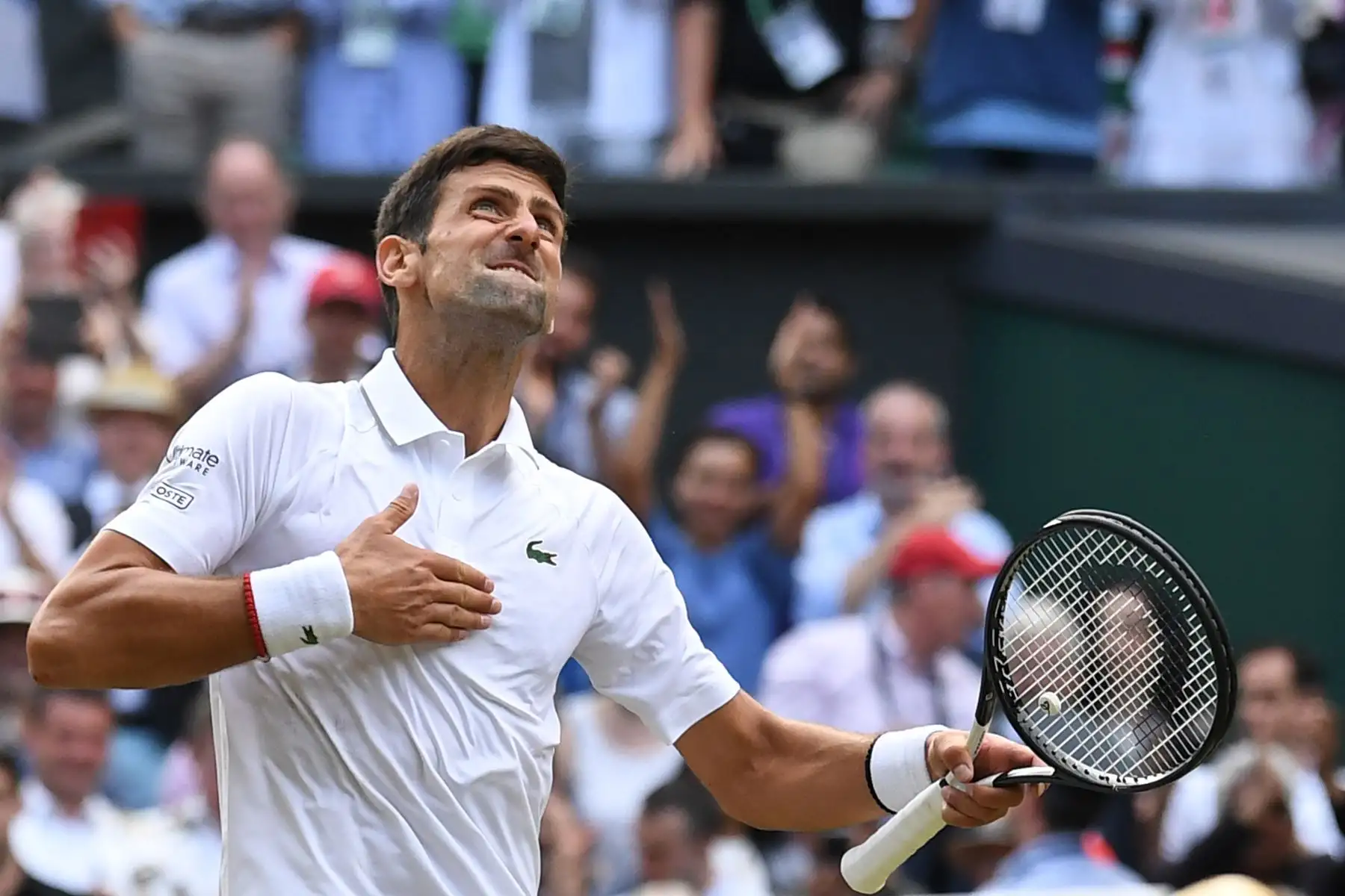 El novak Djokovic de Serbia celebra la derrota del suizo Roger Federer en la final de individuales masculinas el día trece del Campeonato de Wimbledon 2019.
Foto. AFP