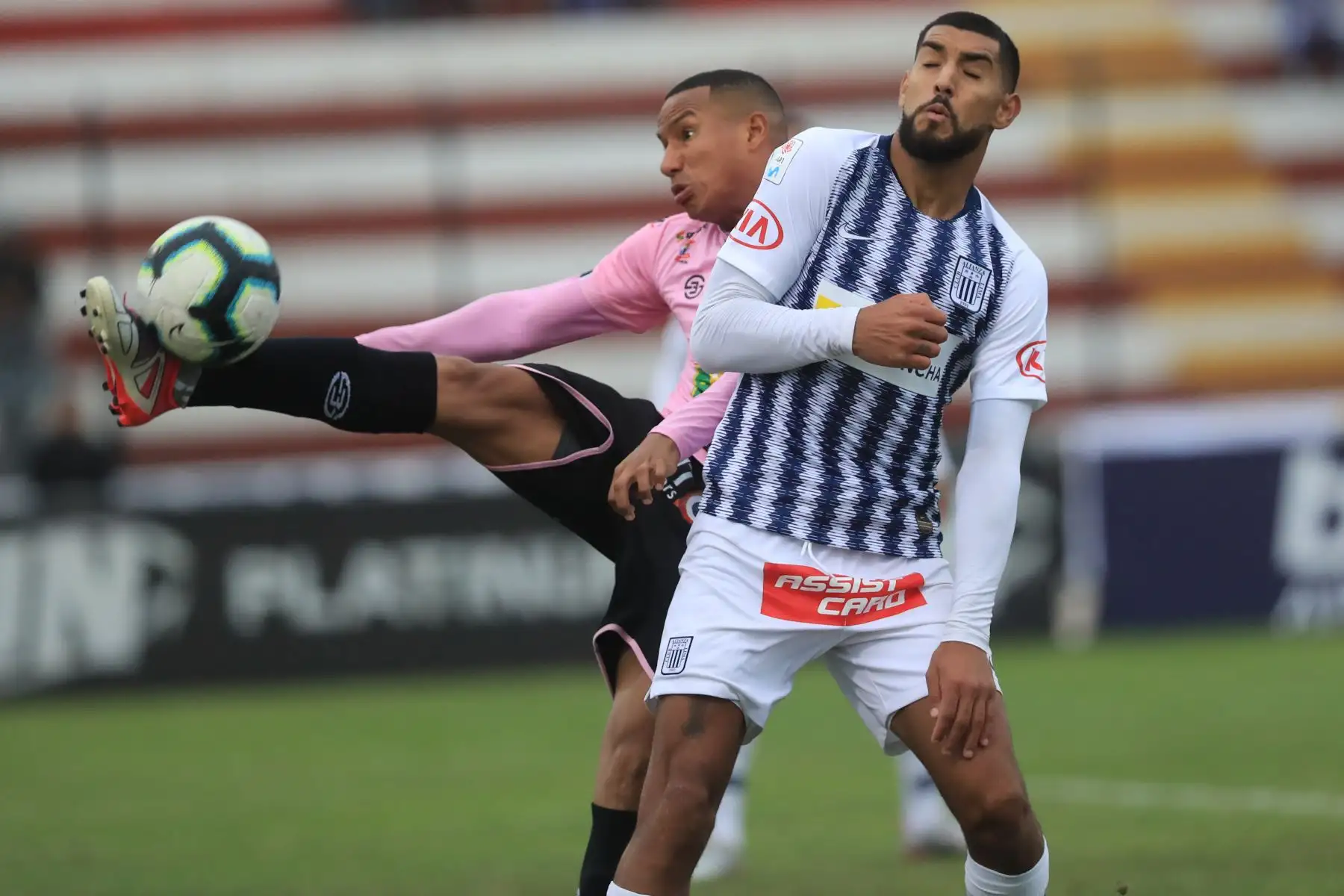 Alianza Lima derrotó al Sport Boys por dos tantos a uno en el Callao.

Foto: ANDINA/Juan Carlos Guzmán Negrini.