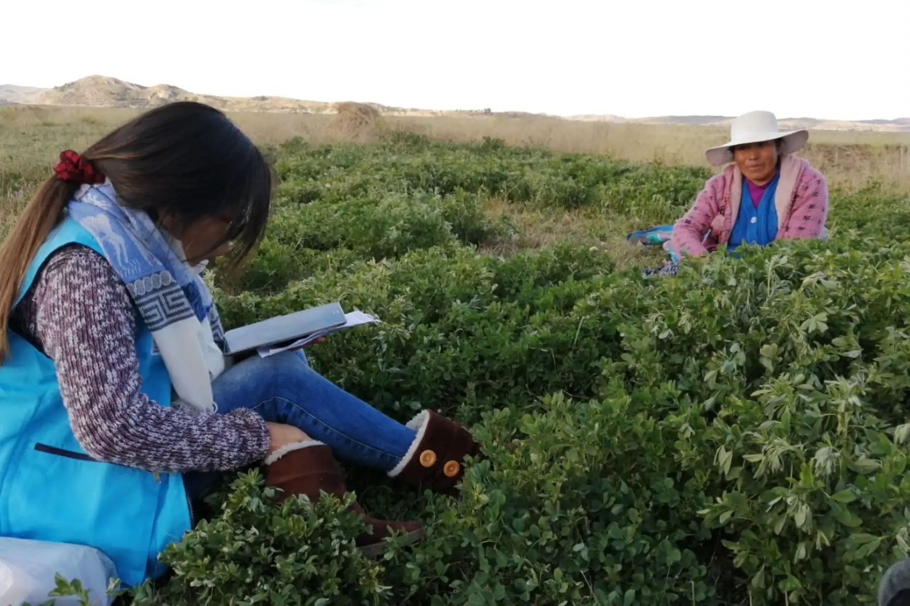 Encuestadores se presentarán con su chaleco característico y fotocheck. Foto: INEI
