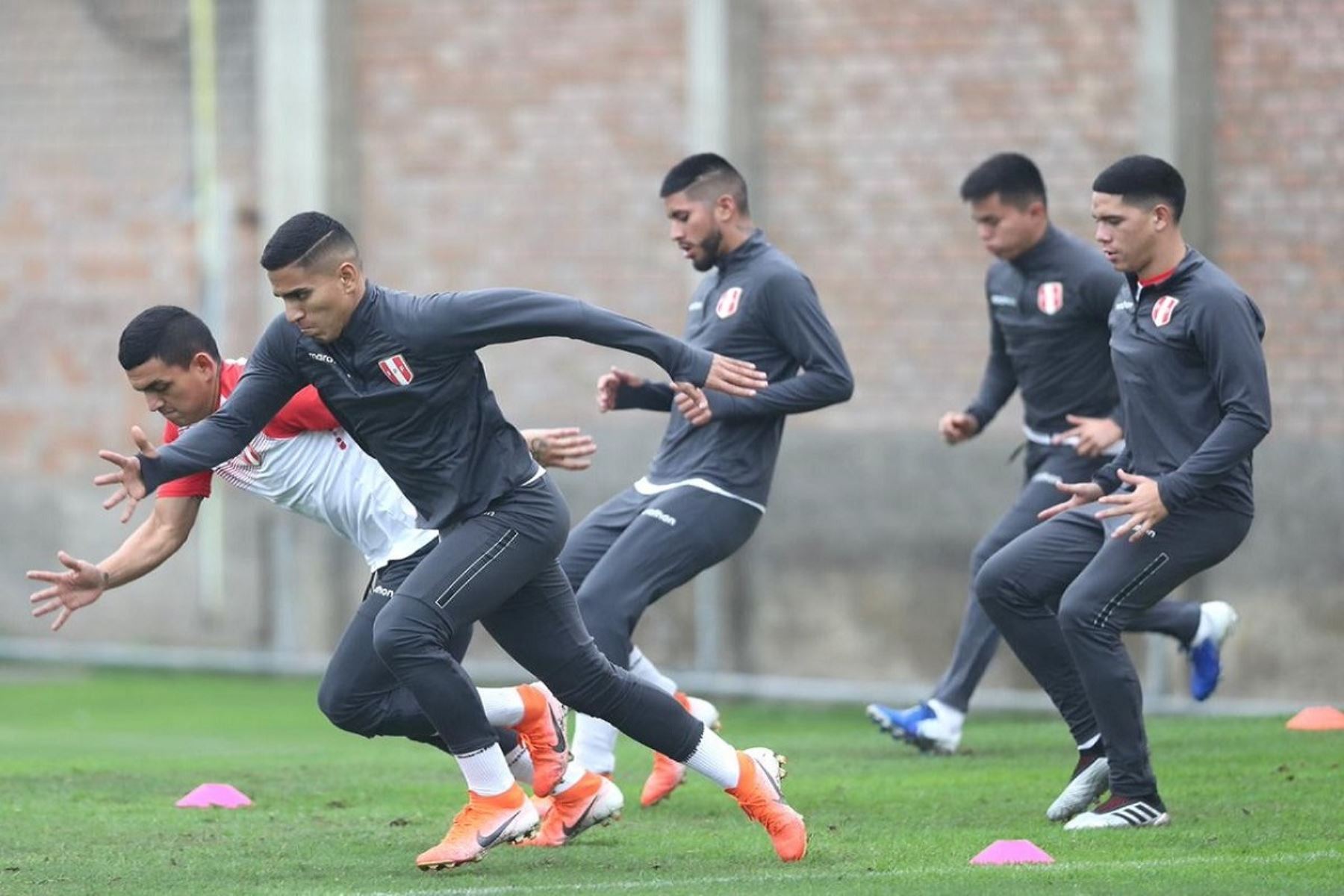 El equipo peruano arrancó sus entrenamientos este lunes en la Videna. ANDINA/FPF