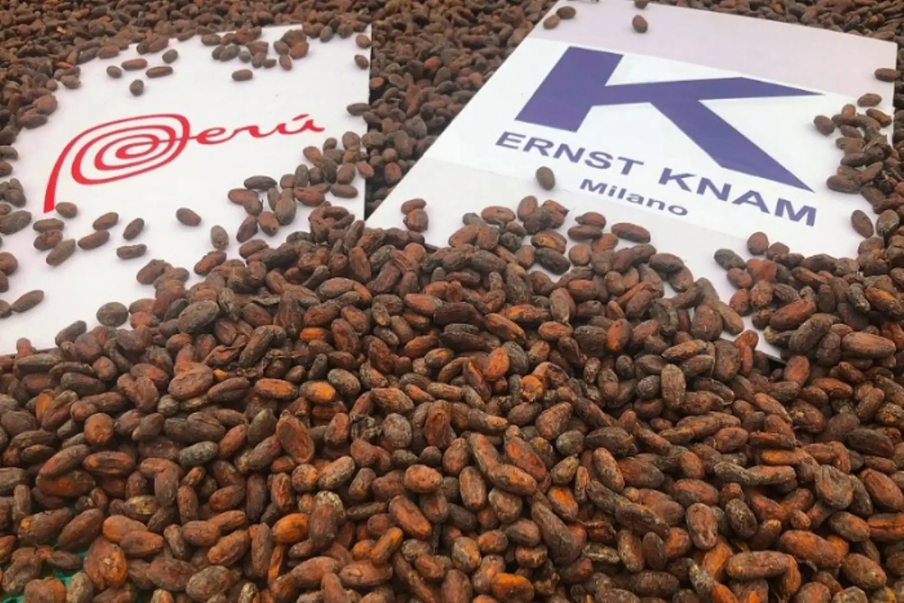 Productores cusqueños de cacao Chuncho exportaron por primera vez, y de manera directa, tres toneladas de este producto a Italia, gracias al apoyo de la Oficina Comercial del Perú en Milán (OCEX Milán) y a Promperú, informó el Ministerio de Comercio Exterior y Turismo (Mincetur).