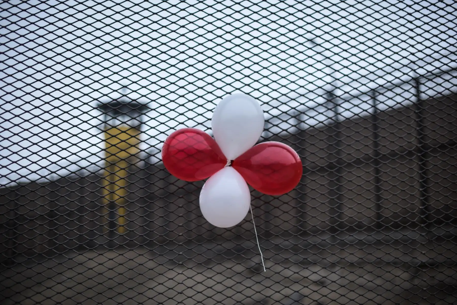 El Instituto Nacional Penitenciario (INPE) celebró el Día de la Resocialización, con el evento "La ciudad suena", además se recorrió las instalaciones de los talleres productivos "Cárceles Productivas" del Establecimiento Penitenciario Lurigancho.
Foto: ANDINA/Cesar Fajardo