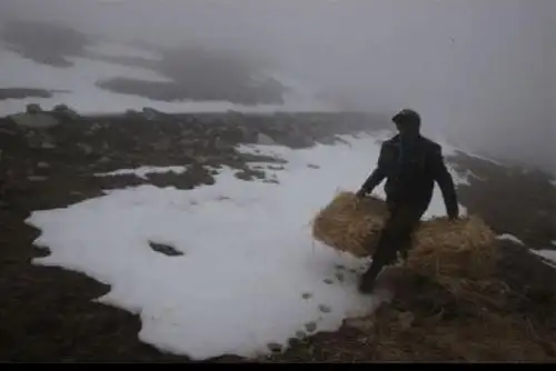 La temperatura más baja en lo que va de la temporada de invierno y de todo el año se presentó en el distrito de Tarata, provincia del mismo nombre, región Tacna, al alcanzar -20 grados Celsius en la estación Tarata.ANDINA/Difusión