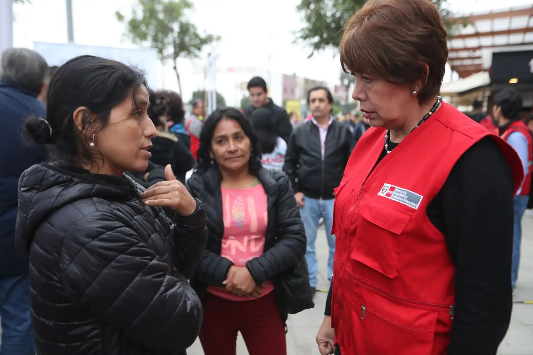 La directora ejecutiva del Programa Nacional Contra la Vilencia Familiar y Sexual, Nancy Tolentino durante la campaña "El acoso es violencia". Foto: ANDINA/Melina Mejía