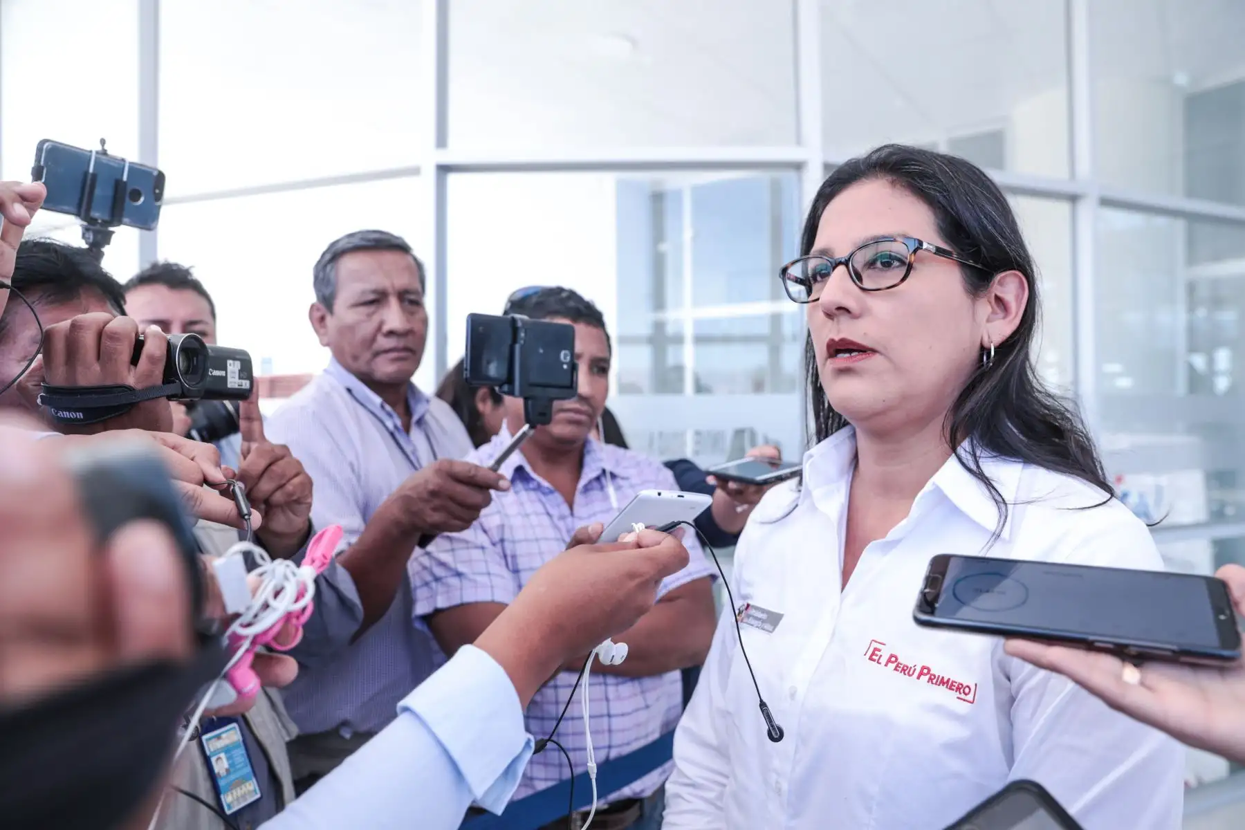 Viceministra de Electricidad, Patricia Elliot.