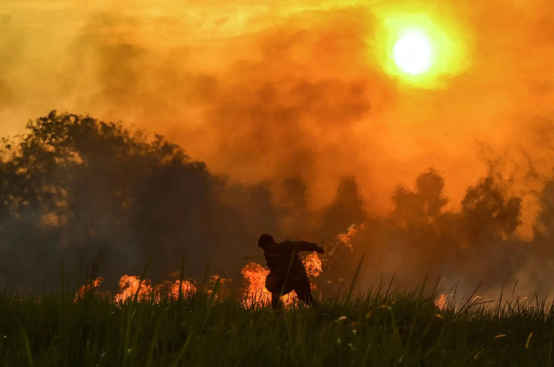Un oficial de la Fuerza de Tareas de Incendios Forestales y Terrestres intenta apagar un incendio en una plantación de aceite de palma en Pekanbaru, en la provincia de Riau. AFP