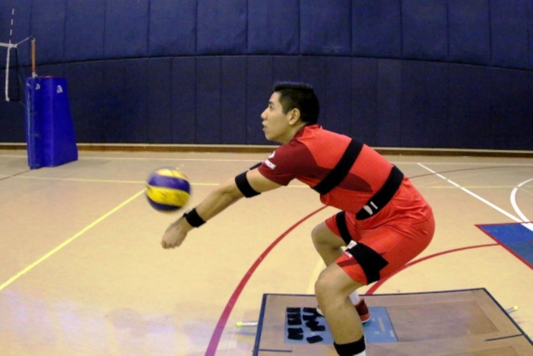 Desarrollan tecnología que permitirá mejorar rendimiento de voleibolistas. Foto: ANDINA/Difusión.