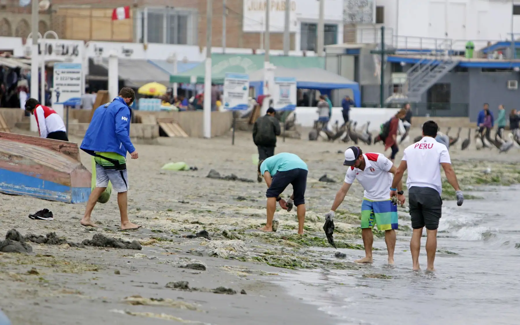 Lima 2019: Selección Peruana de Vela participa en limpieza de playa en Paracas.
Foto: ANDINA/Lima 2019