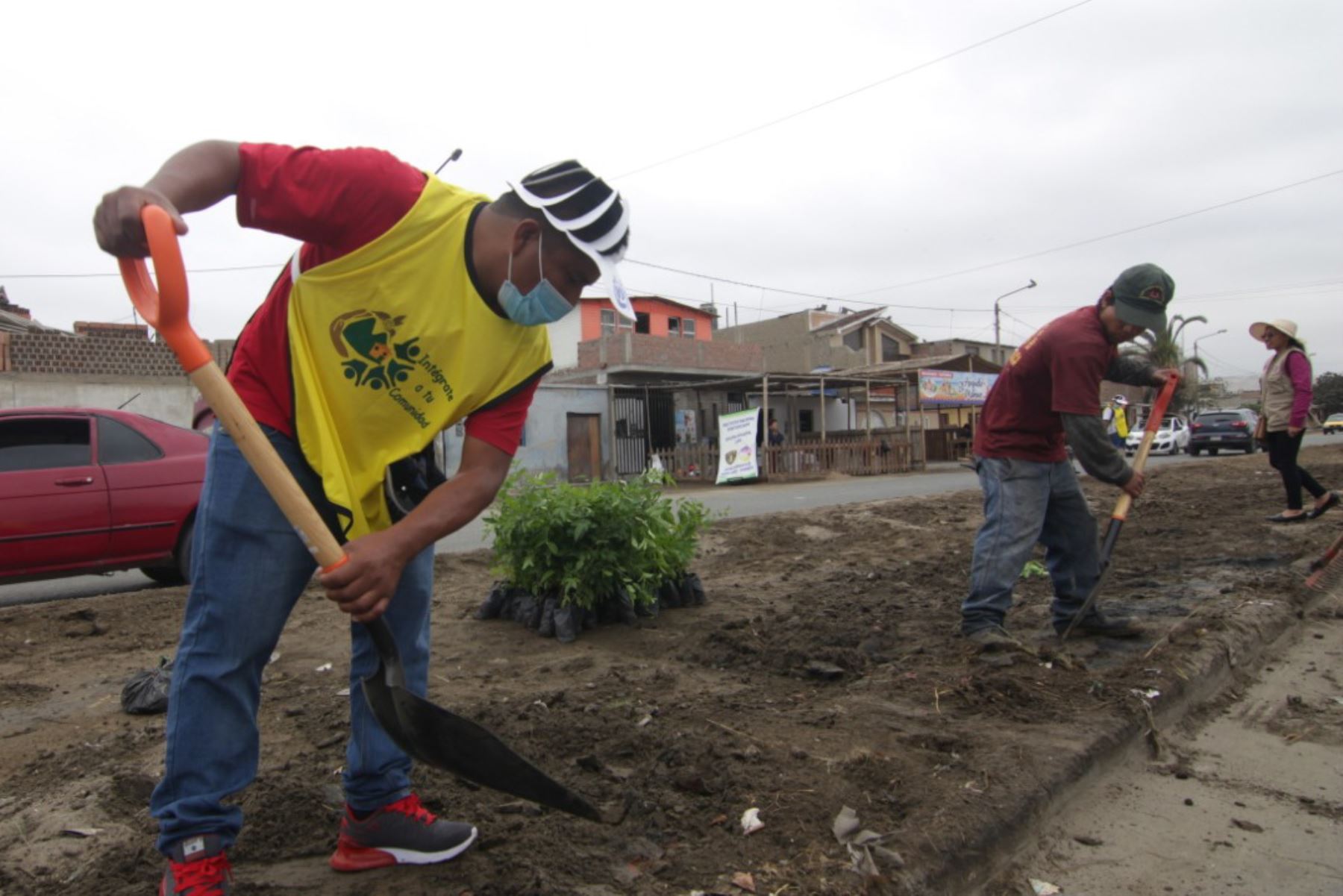 Más de medio centenar de personas, entre liberados y sentenciados, participaron en una campaña de limpieza y arborización en la ciudad de Chimbote, región Áncash. Foto: ANDINA/Gonzalo Horna