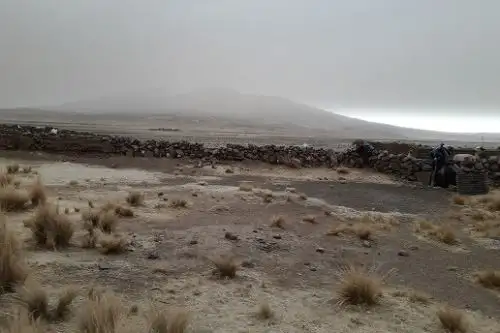 Las cenizas producto de la erupción del volcán Ubinas (Moquegua) han cubierto pastos naturales y forrajes cultivados.