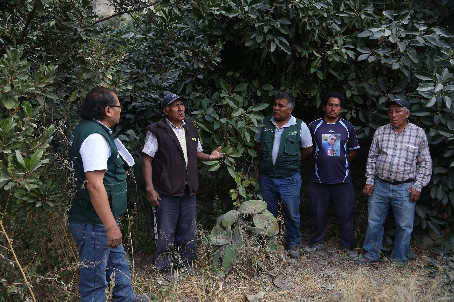 Especialistas de Agrorual inspeccionaron zonas afectadas por el volcán Ubinas