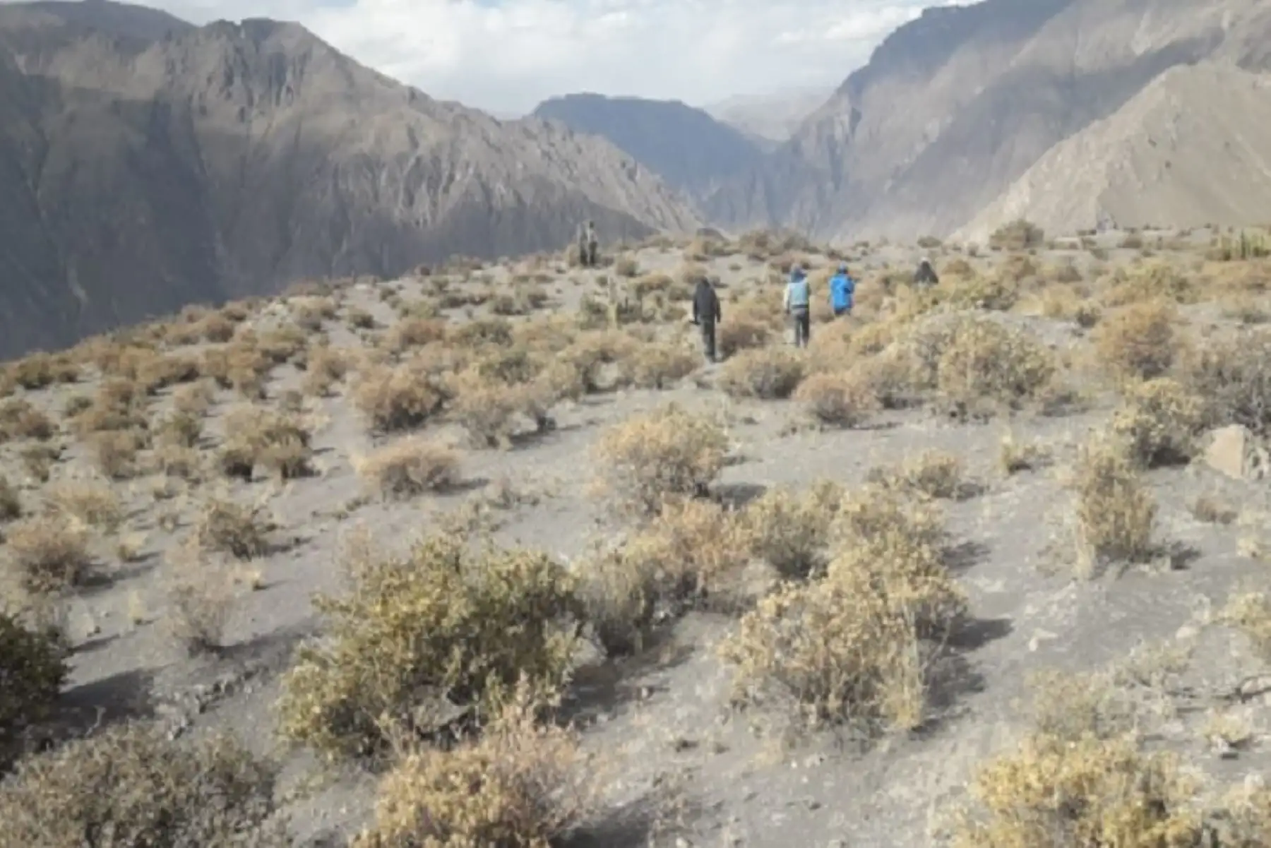 Terreno de Sirahuaya en Moquegua