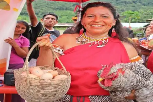 Cocinas mejoradas, biohuertos de hortalizas, emprendimientos y viviendas saludables son algunas de las tecnologías que implementan las familias usuarias del proyecto Haku Wiñay/Noa Jayatai del Ministerio de Desarrollo e Inclusión Social (Midis)- Foncodes, con la asistencia técnica de los yachachiq, para enfrentar la pobreza en las áreas rurales de la sierra y de la Selva.