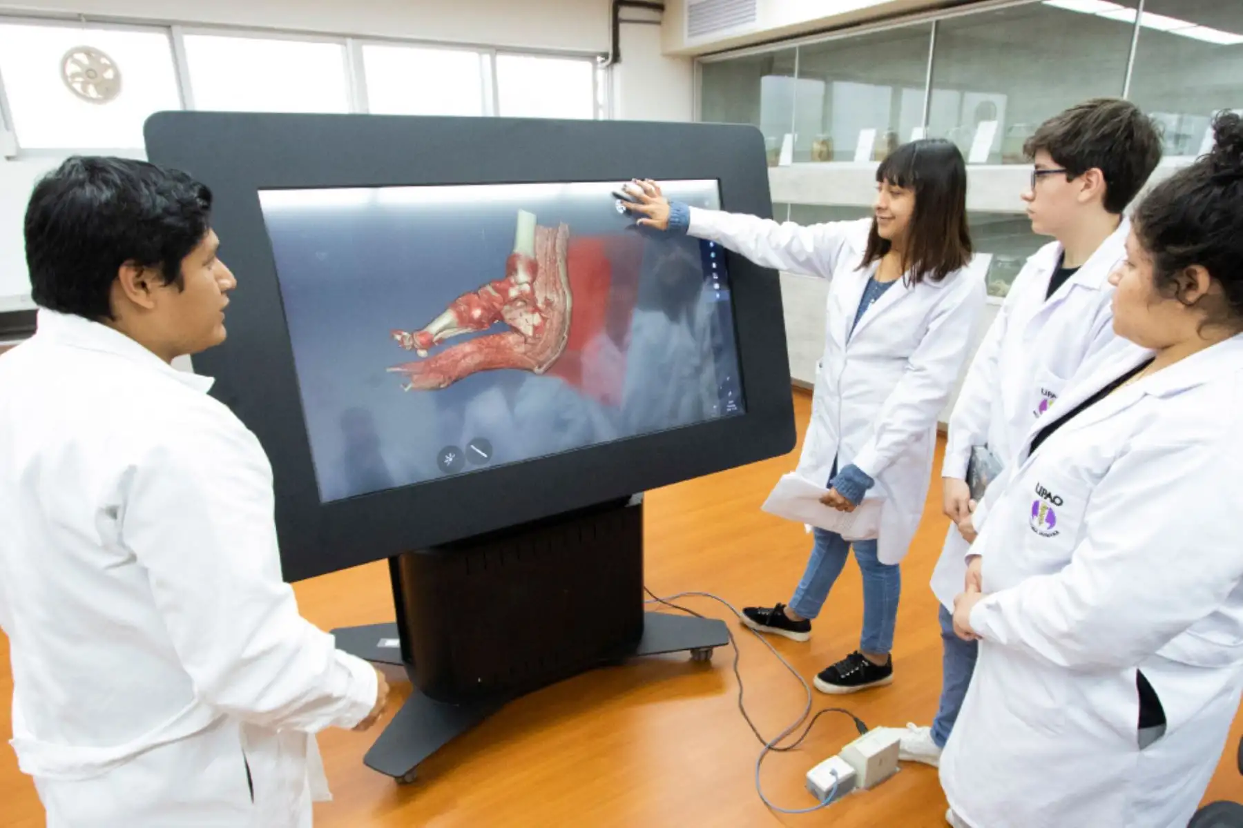 El licenciamiento del programa de medicina durará 90 días hábiles y tendrá dos etapas. Foto: Sunedu