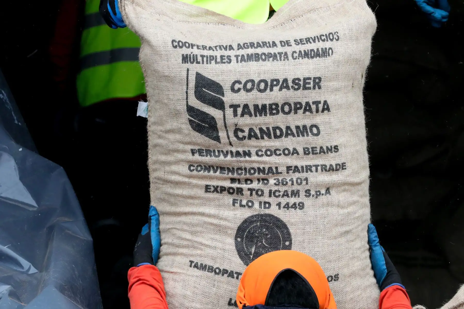 Cacao fino de aroma producido en la Reserva Nacional Tambopata y el Parque Nacional Bahuaja Sonene llegará a mesas de Italia. Foto: ANDINA/Difusión