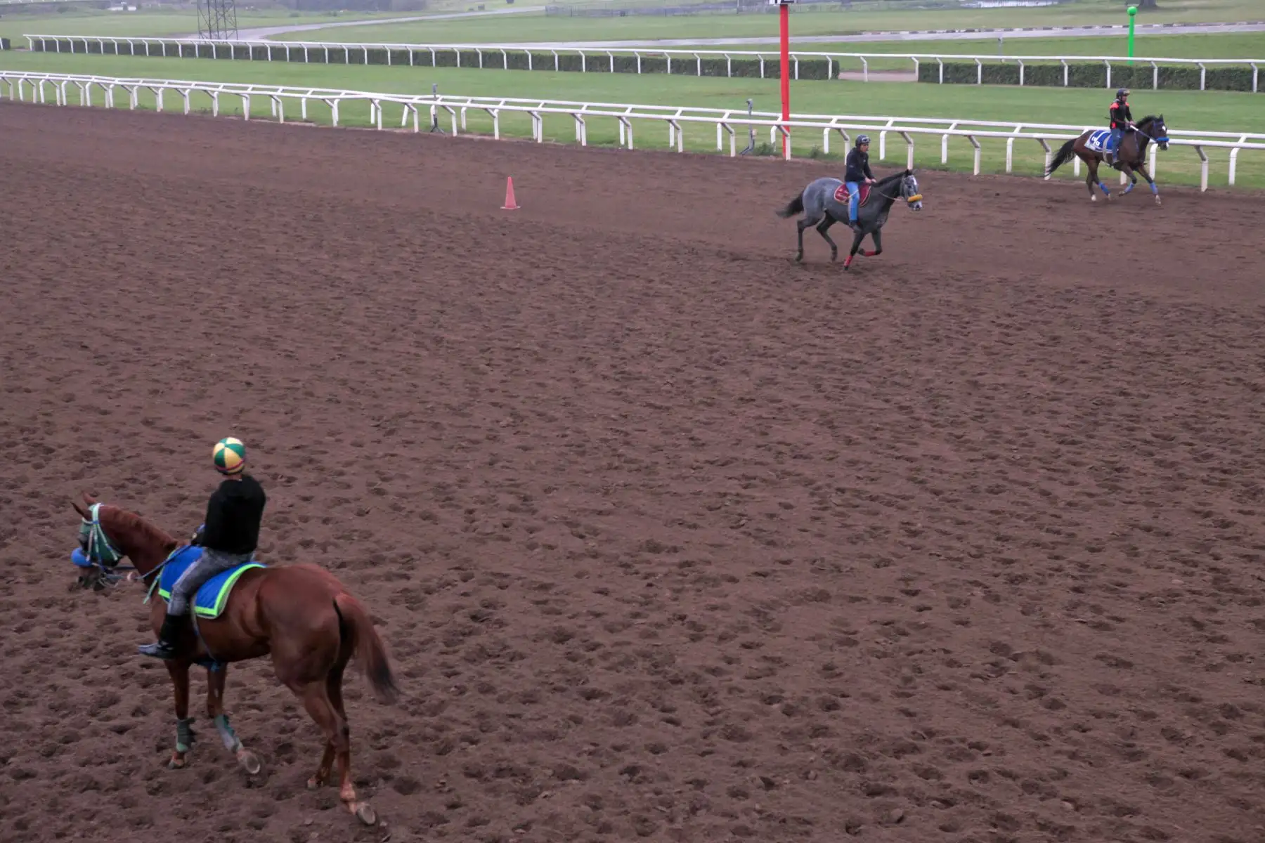 Entrenamiento y preparación de caballos de competencia en el Hipódromo de Monterrico.
Foto: ANDINA/ Miguel Mejía Castro