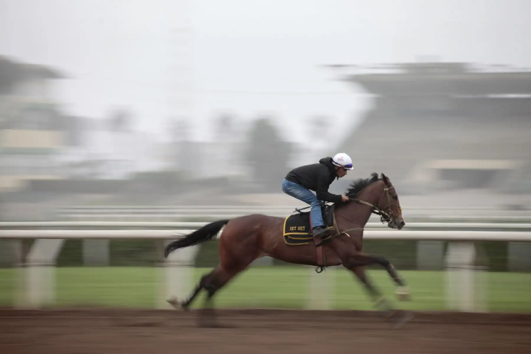Entrenamiento y preparación de caballos de competencia en el Hipódromo de Monterrico.
Foto: ANDINA/ Miguel Mejía Castro