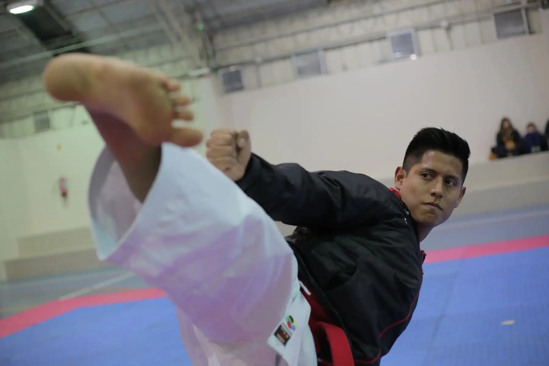 Entrenamiento de la Selección Nacional de Karate previo a los Juegos Panamericanos y Parapanamericanos de Lima 2019.
Foto: ANDINA/David Huamaní