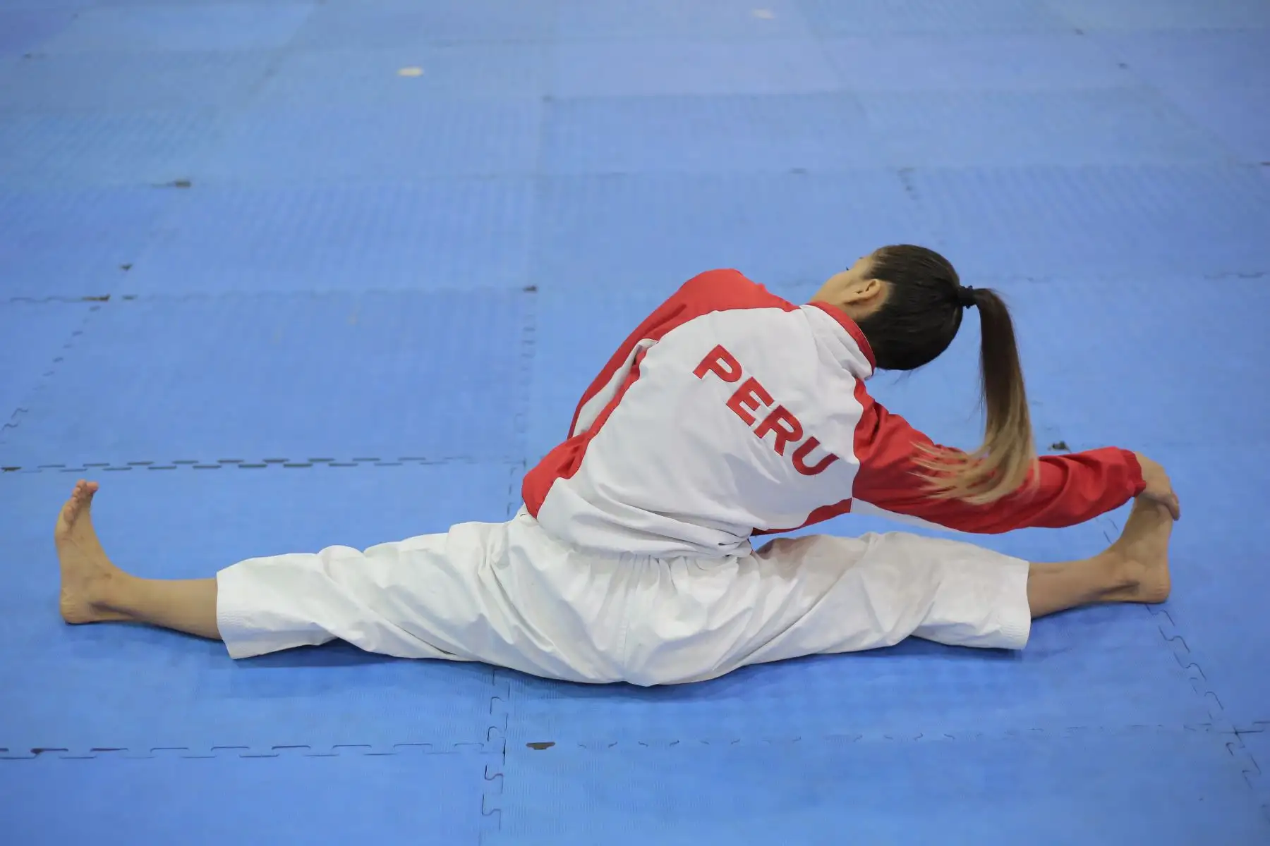 Entrenamiento de la Selección Nacional de Karate previo a los Juegos Panamericanos y Parapanamericanos de Lima 2019.
Foto: ANDINA/David Huamaní