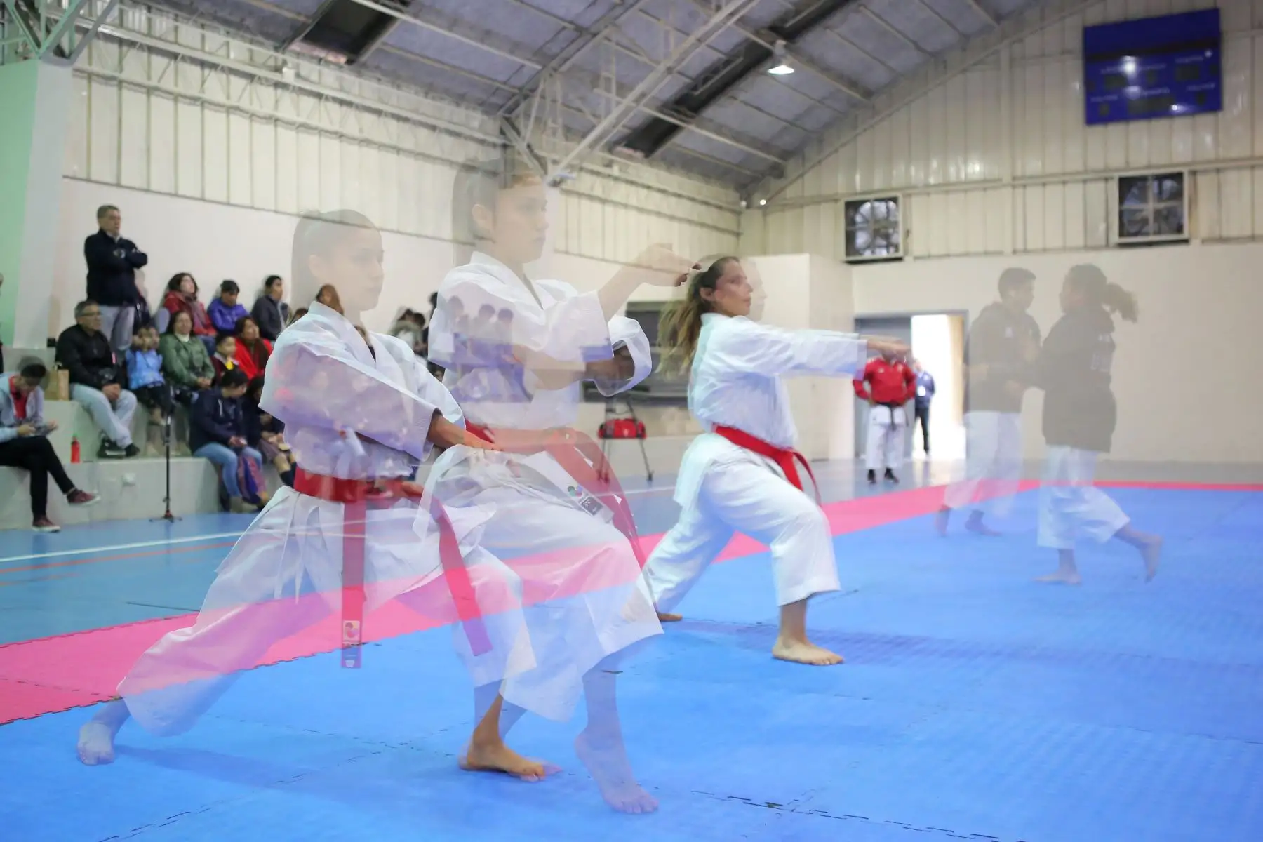 Entrenamiento de la Selección Nacional de Karate previo a los Juegos Panamericanos y Parapanamericanos de Lima 2019.
Foto: ANDINA/David Huamaní