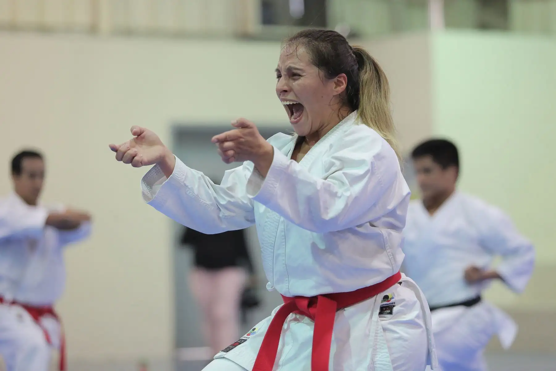 Entrenamiento de la Selección Nacional de Karate previo a los Juegos Panamericanos y Parapanamericanos de Lima 2019.
Foto: ANDINA/David Huamaní