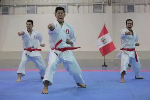 Foto: ANDINA/David Huamaní.