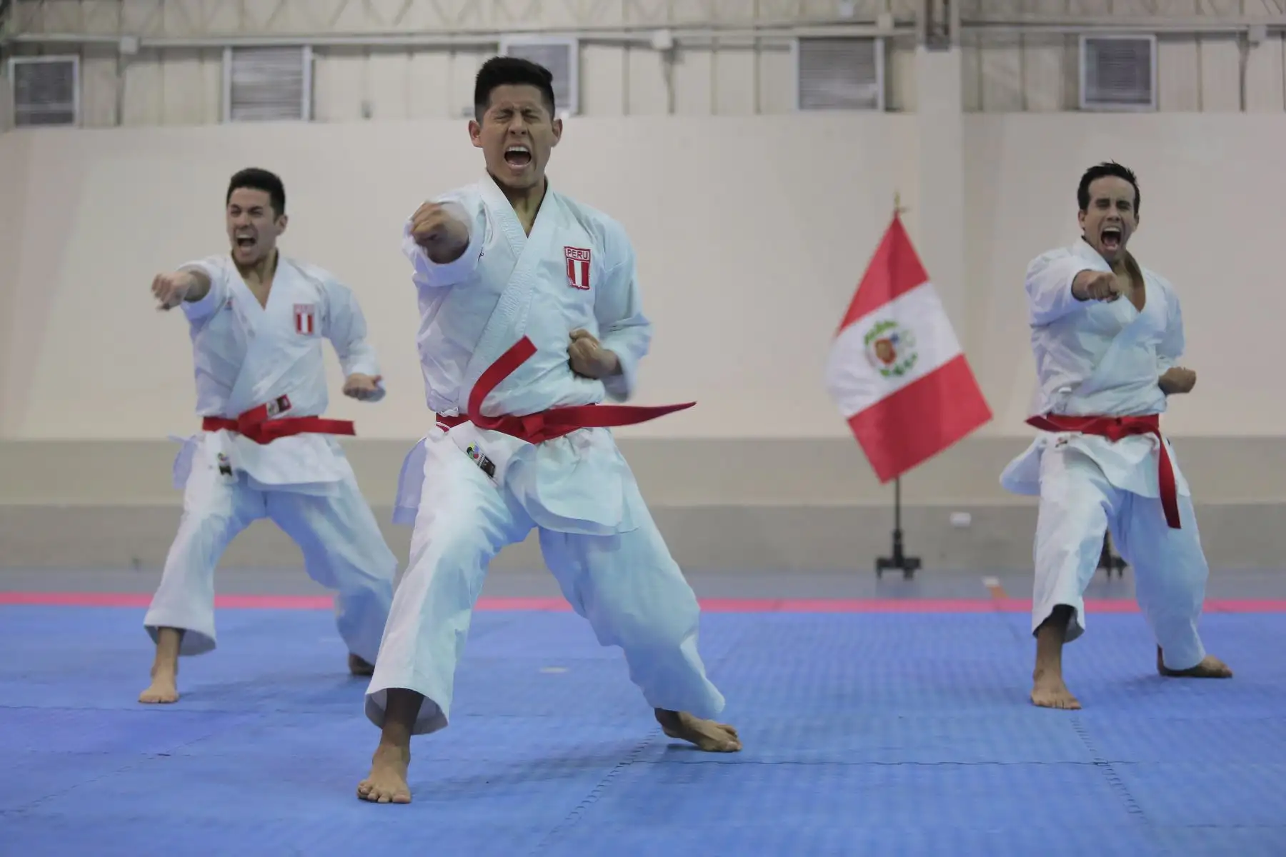 Entrenamiento de la Selección Nacional de Karate previo a los Juegos Panamericanos y Parapanamericanos de Lima 2019.
Foto: ANDINA/David Huamaní