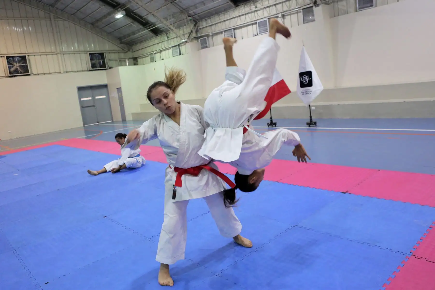 Entrenamiento de la Selección Nacional de Karate previo a los Juegos Panamericanos y Parapanamericanos de Lima 2019.
Foto: ANDINA/David Huamaní