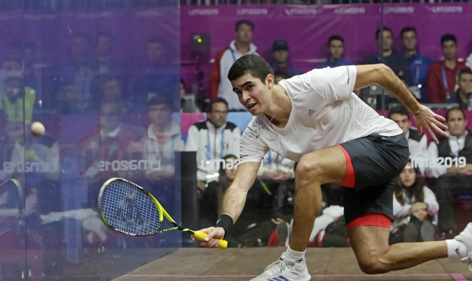 Diego Elías campeón Panamericano de Squash masculino.
Foto: Lima 2019