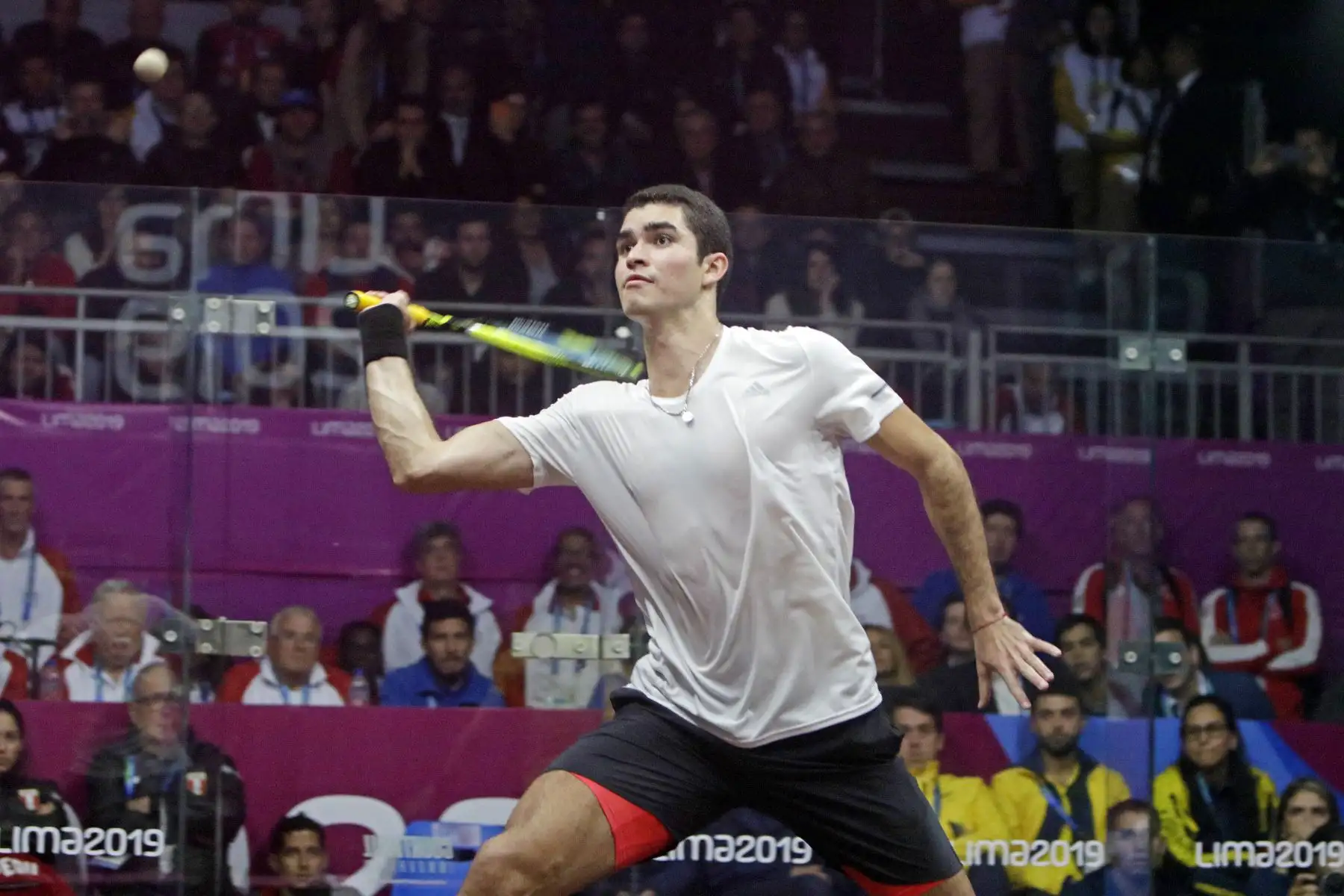 Diego Elías campeón Panamericano de Squash masculino.
Foto: Lima 2019