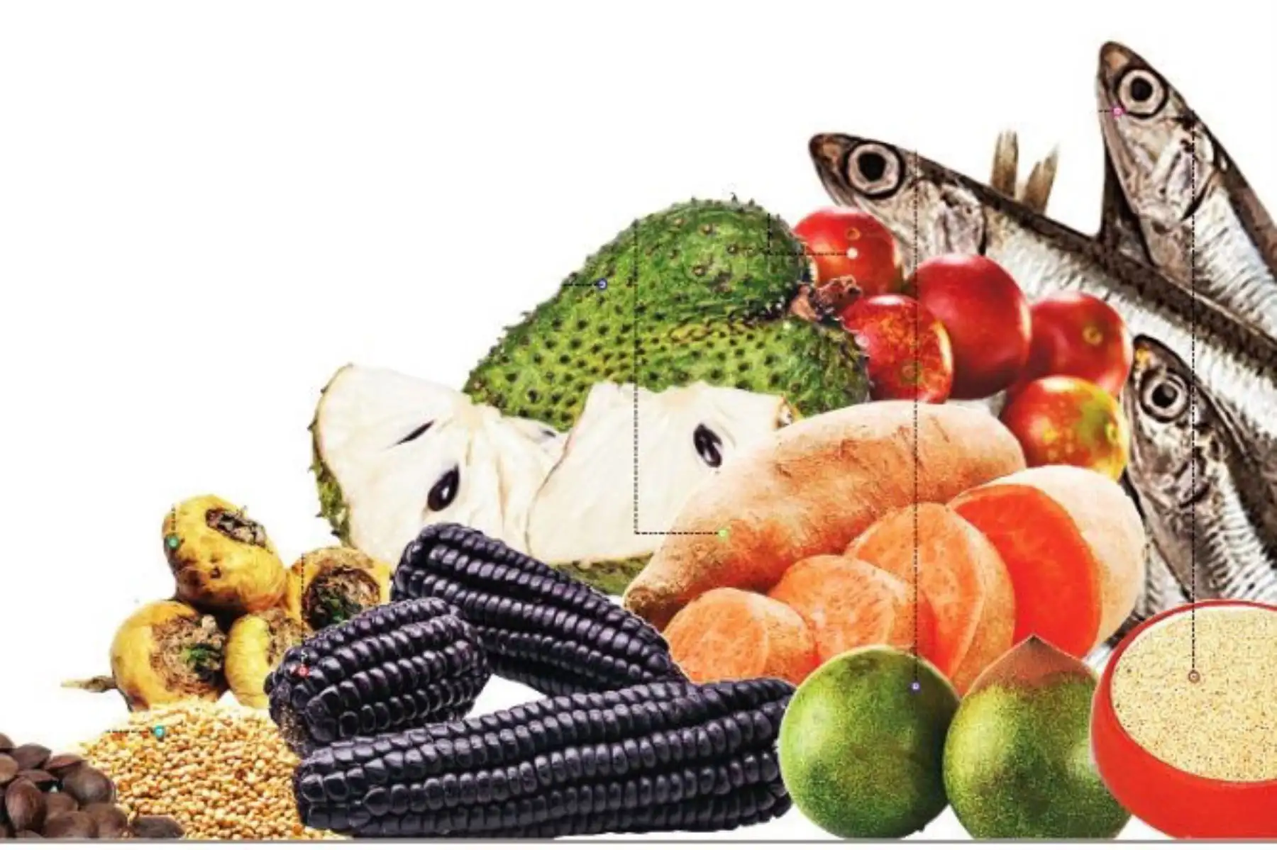El Perú cuenta con superalimentos que fortalecen el sistema inmunológico y con ello previenen o mitigan el impacto de infecciones y enfermedades como el coronavirus (Covid-19), que causa mayor daño en personas con las defensas bajas. ANDINA/archivo