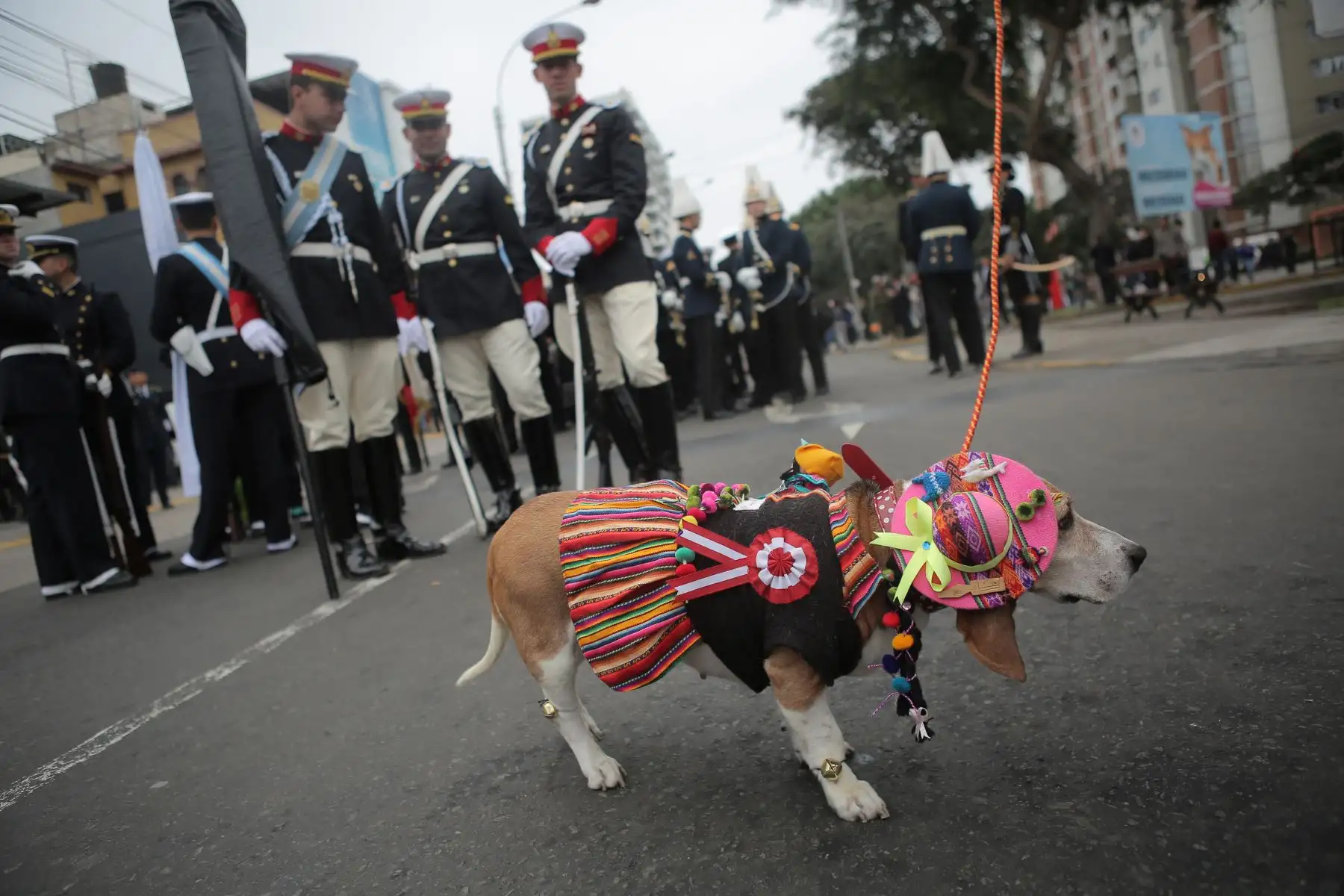 Por segundo año consecutivo, más de 700 bailarines y músicos del Ministerio de Cultura inaugurarán el Gran Desfile Cívico Militar en la avenida Brasil por el aniversario número 198 de la Independencia Nacional. Foto: ANDINA/Prensa Presidencia
