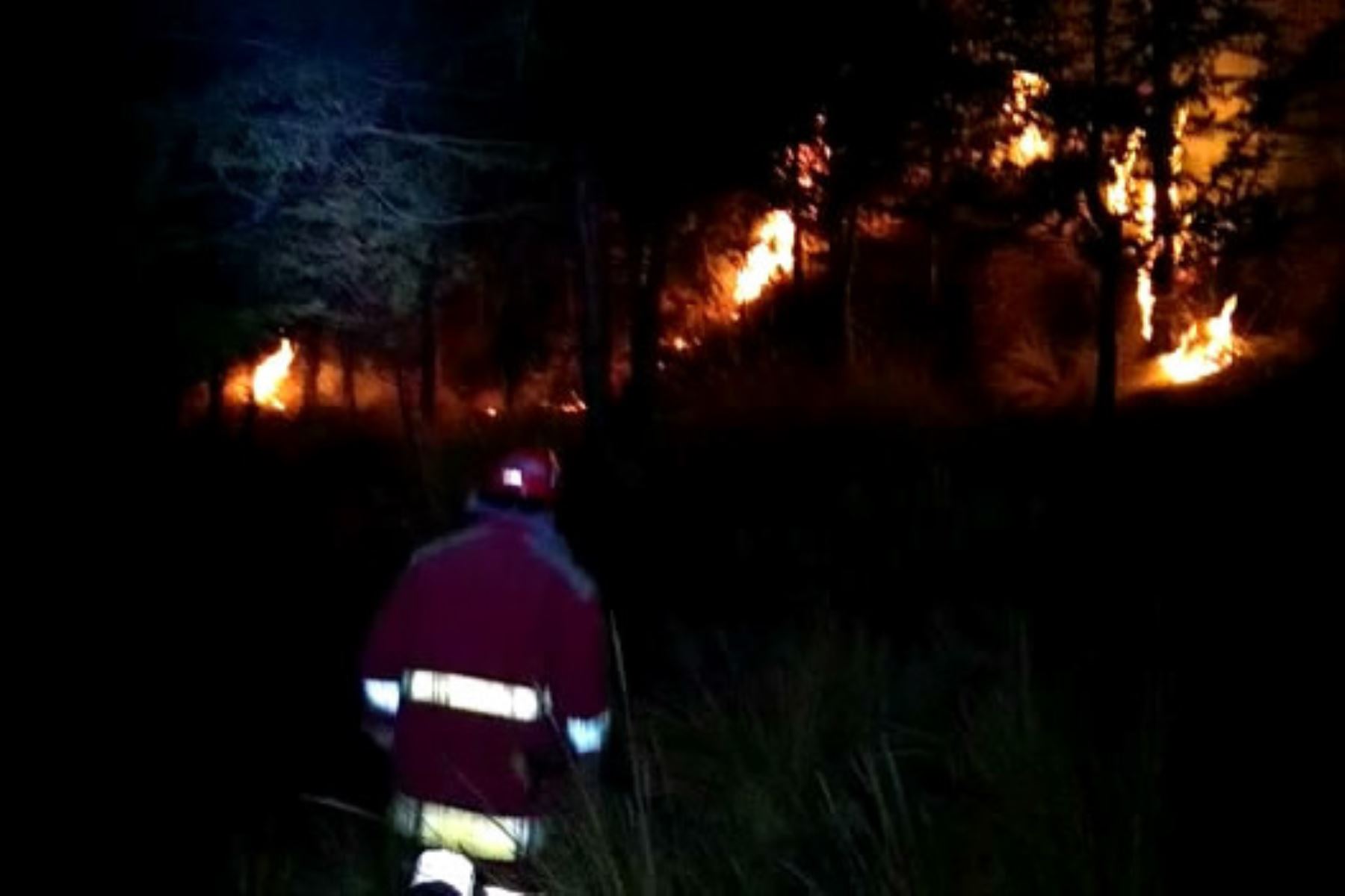 El antiguo campo de golf de La Oroya (Junín) fue afectado por voraz incendio.