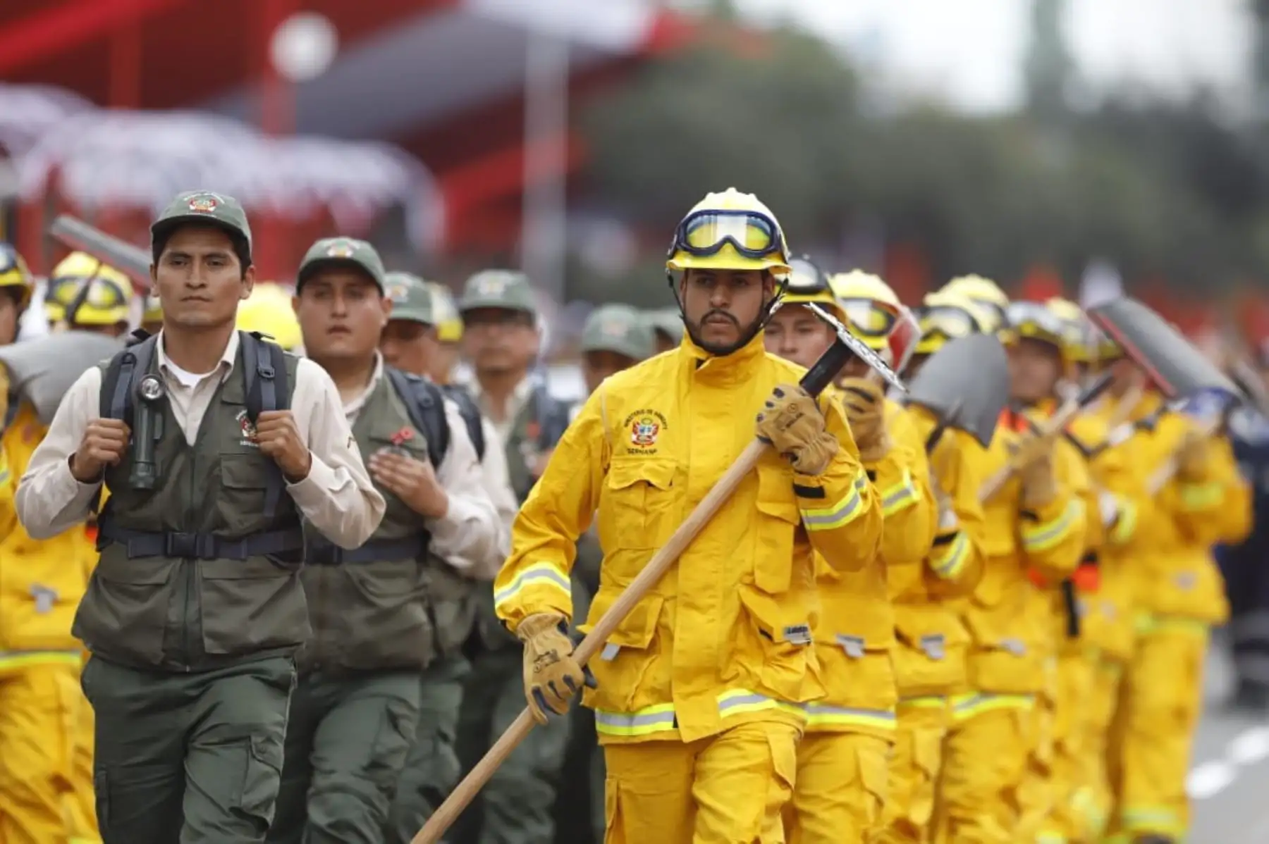 Desfile Cívico Militar por Fiestas Patrias. Foto: ANDINA/Prensa Presidencia