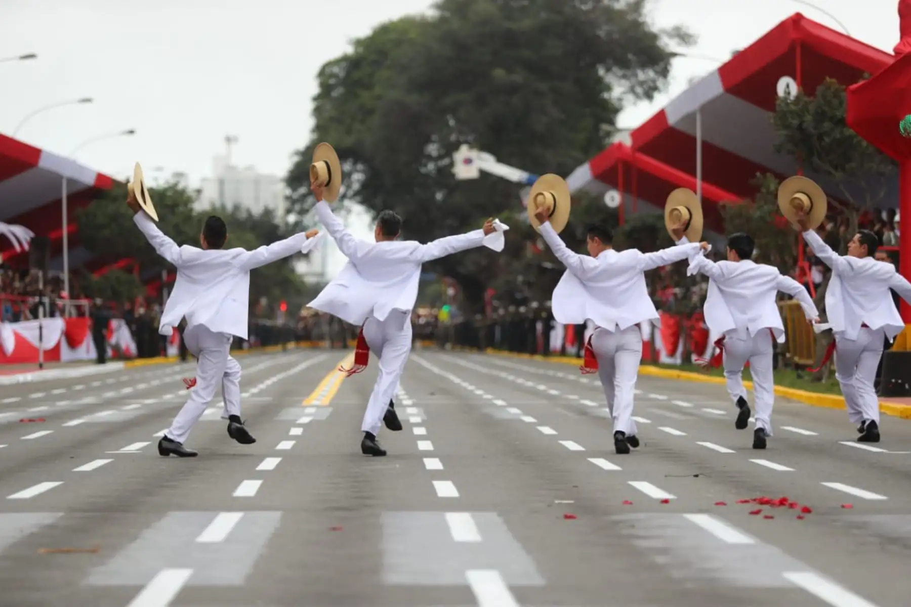 Marinera norteña del ballet folklórico nacional se robó el show durante el desfile Cívico Militar por fiestas patrias. Foto: ANDINA/Prensa Presidencia
