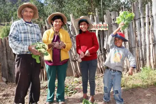 Martha y su hija Celmira que padecen discapacidad visual, han implementado un biohuerto en el caserío El Aliso, en la región Cajamarca.