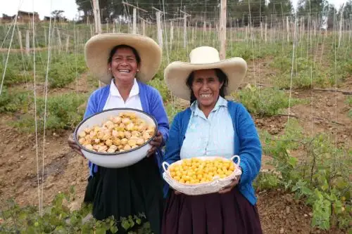 Articulación entre sectores permitirá salida de la pobreza