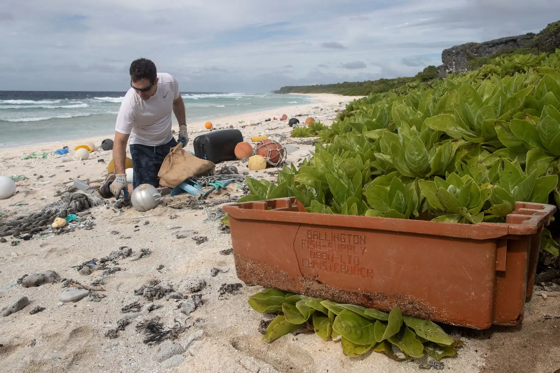 Esta imagen muestra a un miembro del equipo de limpieza de playas recogiendo basura de una playa en la isla Henderson, un miembro deshabitado del archipiélago de las Islas Pitcairn en el sur Océano Pacífico. AFP