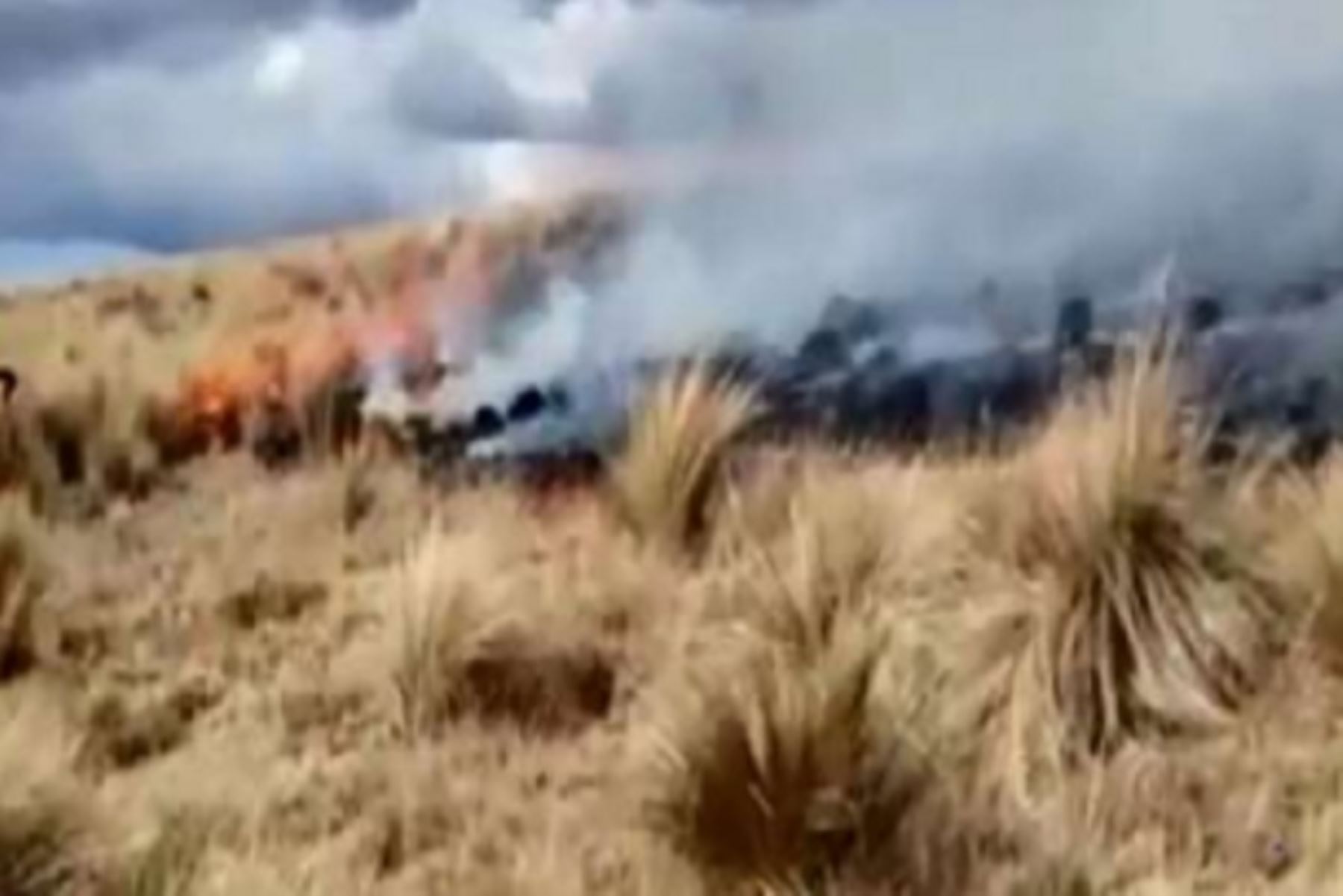 Al menos 5 hectáreas de cobertura natural destruidas, dejó el incendio forestal que se registró en la víspera en el centro poblado Aguapuquio, en el distrito de Chiara, provincia de Huamanga, región Ayacucho, informó el Instituto Nacional de Defensa Civil (Indeci).