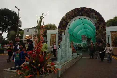 Foto: ANDINA/ PeruFlora2019