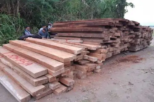 En tres operativos por tráfico ilícito de productos forestales maderables en Cusco, Huánuco y Ucayali se incautó madera de varias especies y se detuvo a implicados.