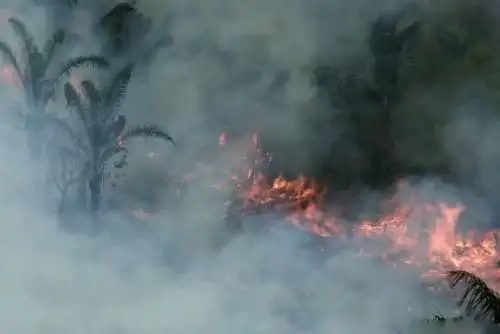 En las últimas 24 horas se identificaron 21 incendios forestales, reveló el Serfor.
